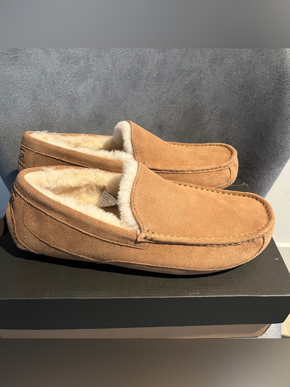 UGG Men’s Slipper Ascot Chestnut Size 12 US
